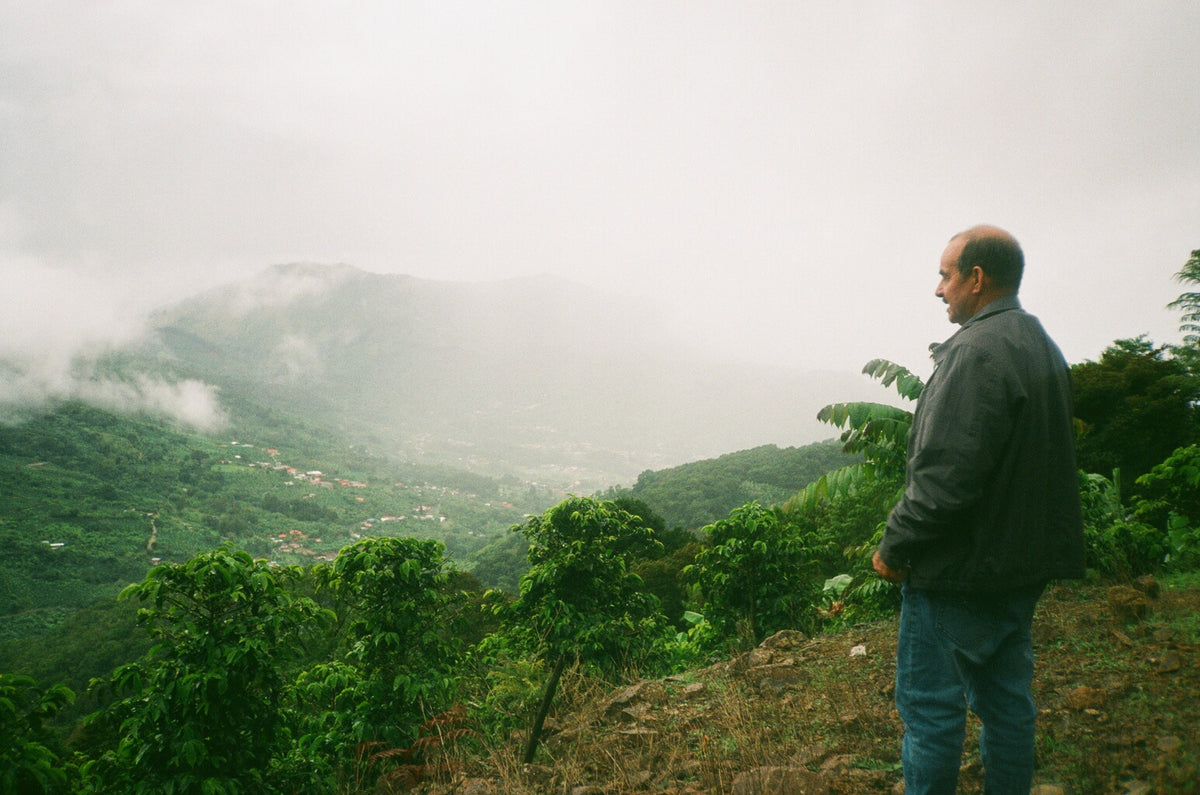 EL MARACUYA